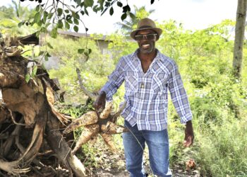 Inscrições para o Garantia-Safra na Região 2 seguem até 14 de abril