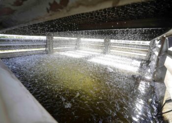 IPTU Verde: número de beneficiados pelo incentivo tributário cresce 235% em 2024