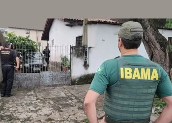 Operação da PF e Ibama apreende 33 animais em posse de traficantes