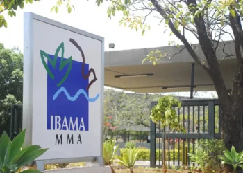 Ibama divulga locais de prova do concurso 2025 para 460 vagas
