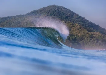 Quatro praias são eleitas para se tornarem santuário do surfe nacional