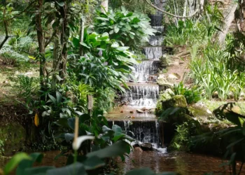 Sistema de água com mais de 200 anos abastece Jardim Botânico do Rio