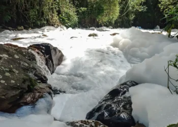 Joinville decreta emergência após vazamento de ácido sulfônico