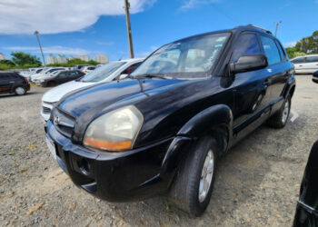 Transalvador promove leilão com 140 lotes de veículos conservados e sucatas