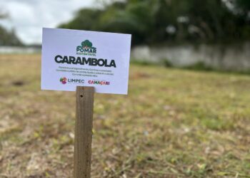 Limpec encerra Semana do Meio Ambiente com plantio de mudas no Pomar Sustentável