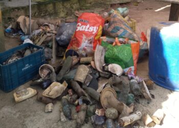 ONG retira aproximadamente 55 kg de lixo em trecho de mangue em Mar Grande – Ilha de Itaparica