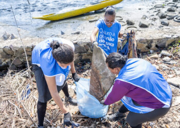 Mutirões recolhem 772 quilos de resíduos sólidos de manguezal