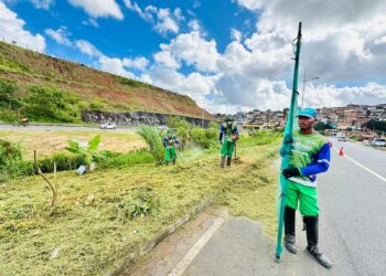 Limpurb realiza mutirão de roçagem nas principais avenidas de Salvador