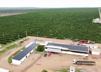 Grandes consumidores economizam em média 30% na fatura mensal ao migrarem para Mercado Livre de Energia