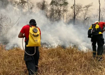 Maranhão terá R$ 45 milhões do Fundo Amazônia para combater incêndios