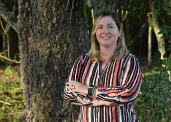 Árvores: aliadas contra as mudanças climáticas