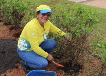 Mês de Meio Ambiente na Dunlop: Inovação e Compromisso com a Sustentabilidade Ambiental