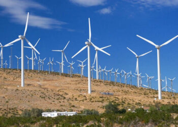 Movimento social da Bahia ganha voz em fórum nacional de transição energética