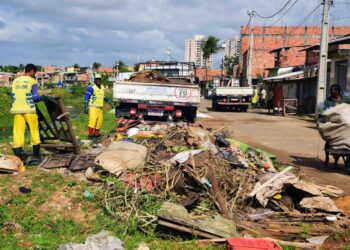 Limpurb intensifica ações no combate à dengue