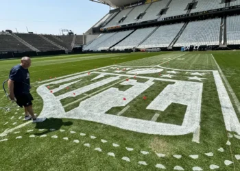Liga de Futebol Americano volta a jogar em São Paulo