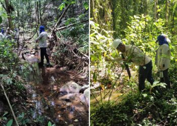 Bracell protege mais de 1.750 nascentes em suas áreas na Bahia