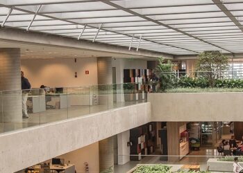 Em nova edição, Natura Innovation Challenge convida startups a criarem soluções para compensação de carbono