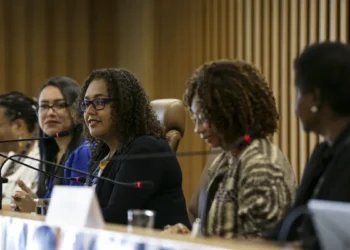 Negros em cargos do Executivo têm origem popular e alta qualificação