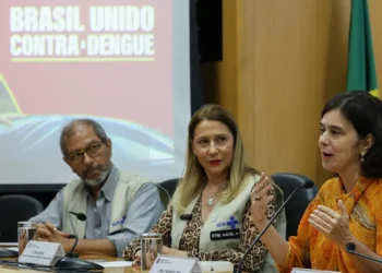 Juntas, dengue e gripe podem pressionar sistema de saúde, diz ministra