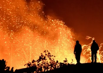 Nova Jersey: incêndio florestal pode se tornar o maior do estado