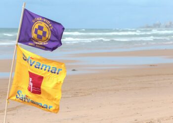 Salvamar alerta banhistas sobre perigos com caravelas e frente fria neste final de semana