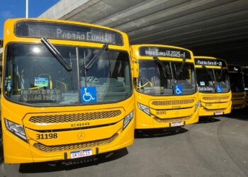 Santa Cruz e Vale das Pedrinhas recebem dez novos ônibus com ar-condicionado