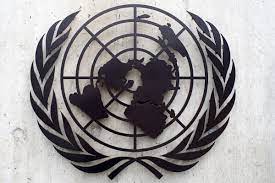 Conselho leva à ONU alerta sobre avanço do neonazismo no Brasil