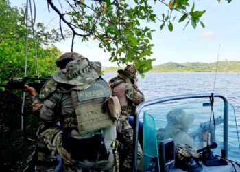 Três acampamentos de traficantes são desarticulados em Maragogipe