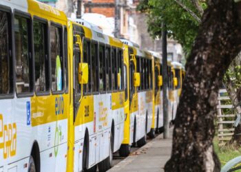 Após reivindicações da população, Prefeitura reativa linhas de ônibus que estavam suspensas