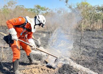 Operação Florestal do Corpo de Bombeiros debela cerca de 960 incêndios no estado