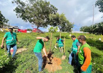 Secis promove plantio de mudas na Estrada do Curralinho