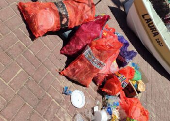 Ação conjunta durante Carnaval retira 230 kg de resíduos sólidos do Parque Marinho da Barra