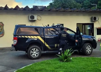 PF inicia operação contra tráfico internacional de animais silvestres