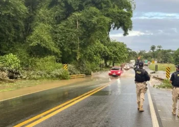 Risco de acidente em rodovias federais sob gestão pública é maior