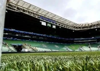 Palmeiras contesta movimento contra gramados sintéticos no futebol brasileiro