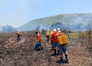 Incêndio no Pantanal está controlado, diz Instituto Homem Pantaneiro