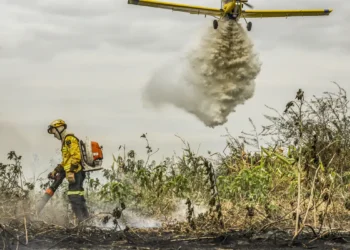 Pantanal: redução da área alagada tem favorecido aumento de incêndios