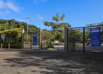 SMS e Fiocruz oferecem serviços gratuitos no Parque da Cidade neste sábado (17)