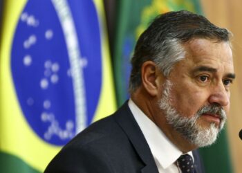 Pimenta vê participação do governo Bolsonaro em planejamento de crimes