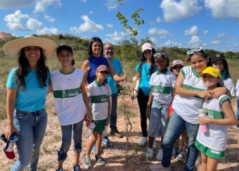 Sedur promove plantio de mudas para fortalecer educação ambiental