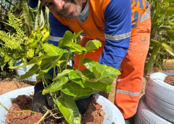 Limpurb instala novo Ponto Verde em Praia Grande para coibir descarte irregular de resíduos