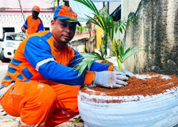Salvador ganha três novos pontos verdes com mudas de plantas