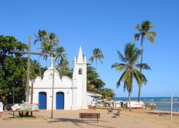 Praia do Forte investe em práticas sustentáveis e de preservação da natureza