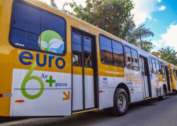 Parque São Cristóvão recebe novos ônibus com ar-condicionado