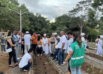 Primeira Horta Comercial de Salvador é instalada em Cassange