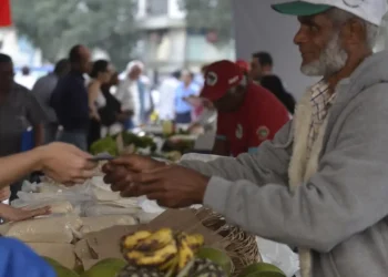 Programa Desenrola Rural entra em vigor nesta segunda-feira