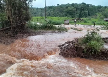 “Tragédia sem precedentes no campo”, dizem pequenos agricultores do RS