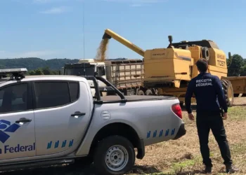 Operação Dagon: Receita investiga fraudes fiscais no agronegócio