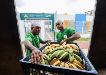 Prefeitura de Camaçari renova estoque de alimentos nas escolas e garante volta às aulas com cardápio saudável e de qualidade