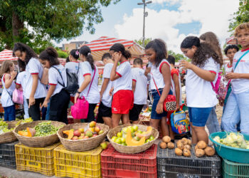 Alunos conhecem sobre agricultura familiar durante visita à feirinha da prefeitura